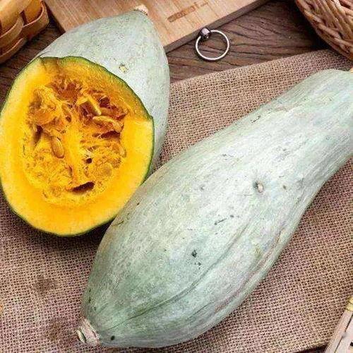 金翅瓜如何吃,探索美味与营养的完美结合