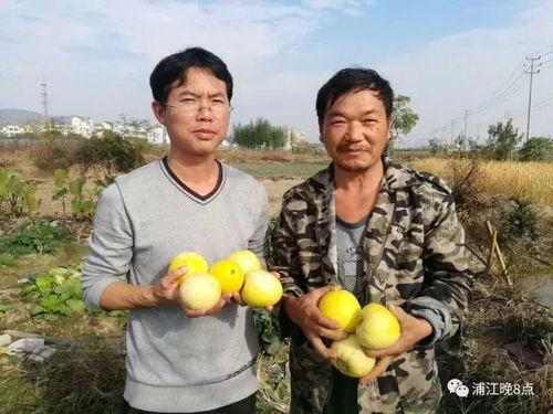 吃瓜群众在行动,见证时代变迁的民间力量