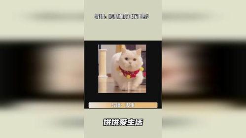 导播吃瓜,揭秘幕后花絮，带你走进娱乐风云