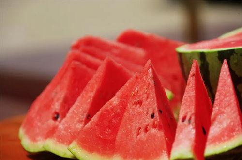 河北有什么瓜可以吃,河北特色瓜果品鉴之旅