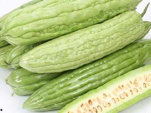 吃凉瓜消化吗,凉瓜食用对消化系统的影响解析