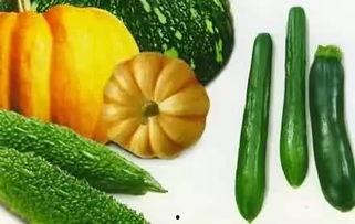 微信吃瓜公司,一场社交瓜界的狂欢盛宴